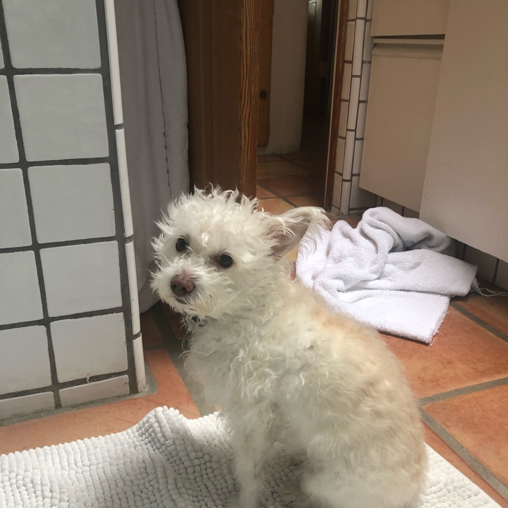 Meet your Posher, Leonie